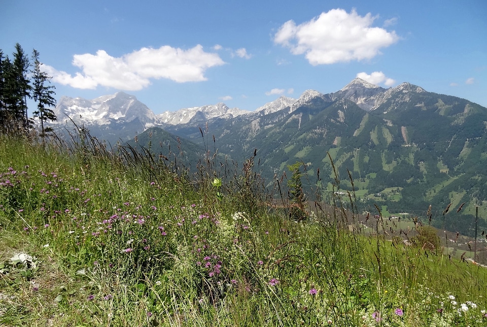 Travel landscape panorama
