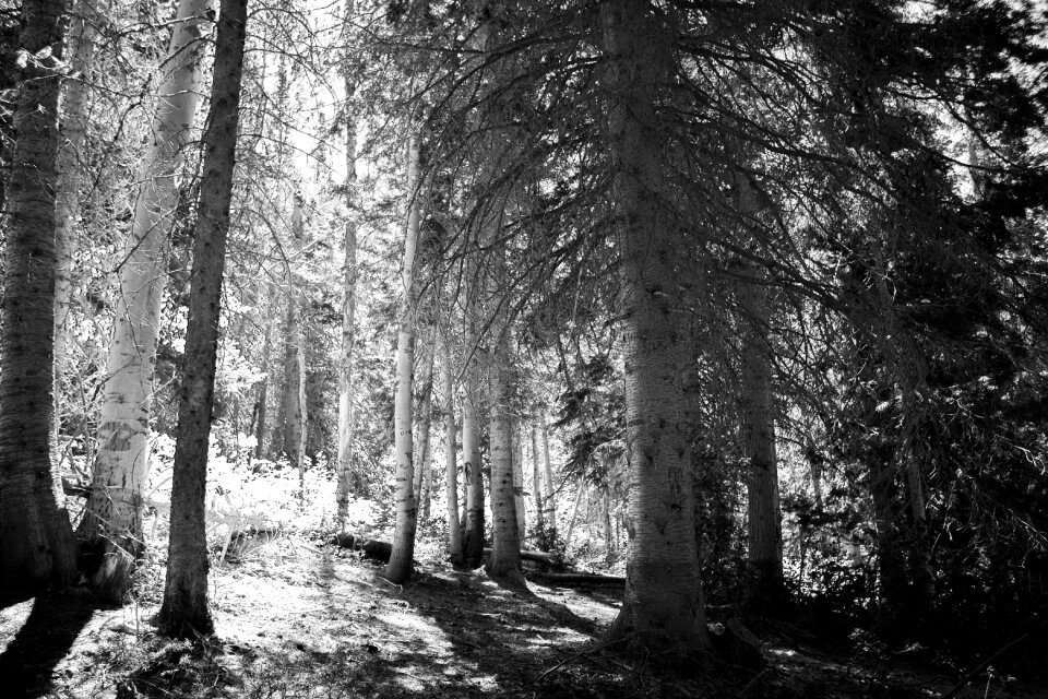 Nature landscape outdoors