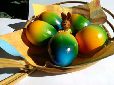 Colorful eggs easter nest easter greeting photo