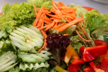 Mixed salad cold buffet buffet