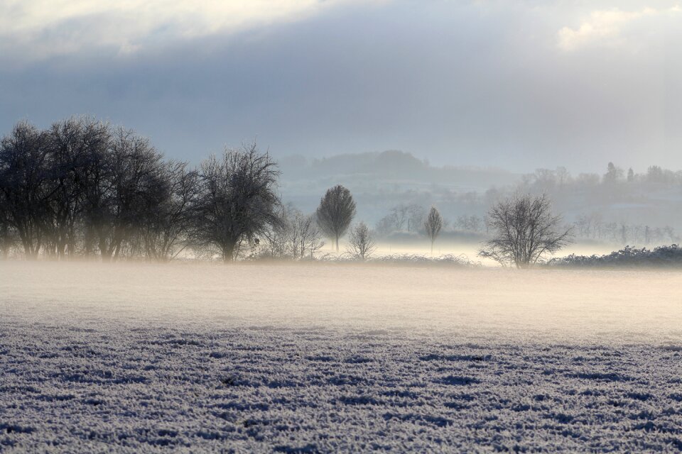 Cold nature frost