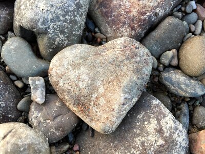 Heart nature roche