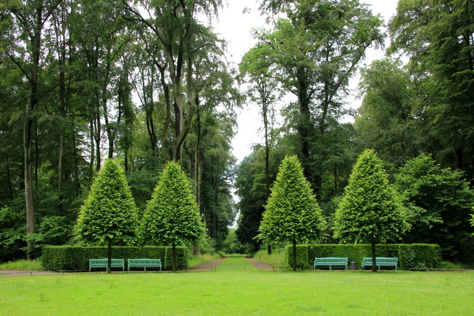 Germany park meadow