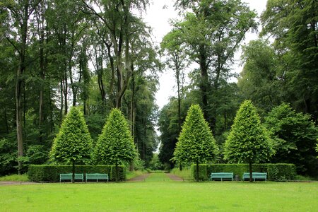 Germany park meadow