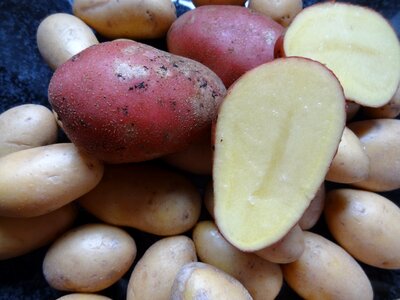Vegetables raw potatoes red-skinned potatoes