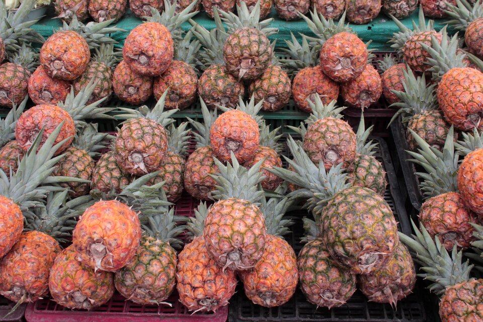 Yellow food healthy