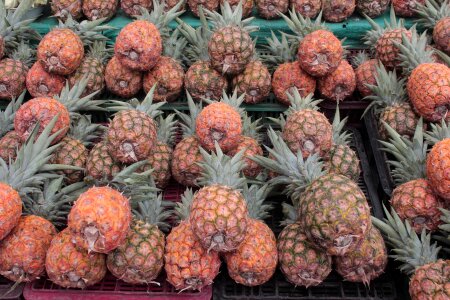 Yellow food healthy