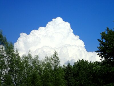 Nature big white