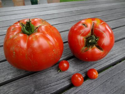 Seasonal food red