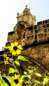 Garden monastery ayia napa