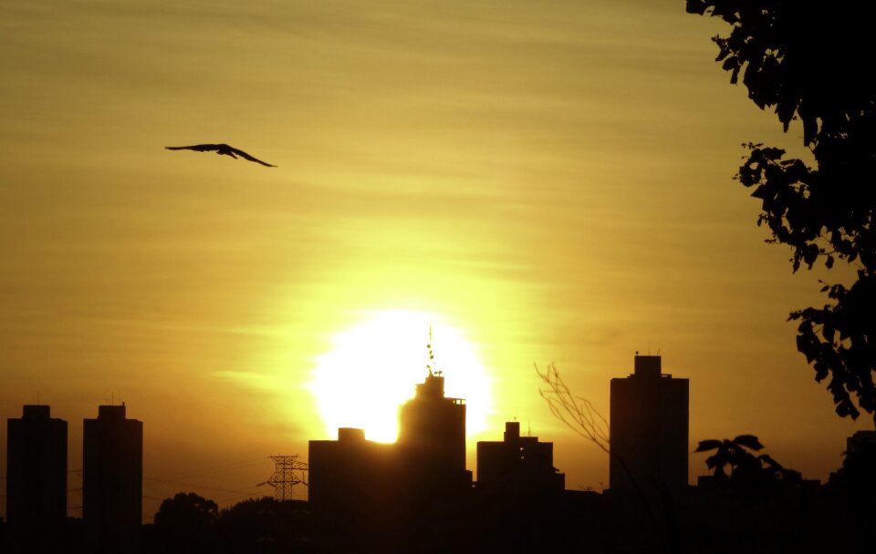 Sky orange sky sun