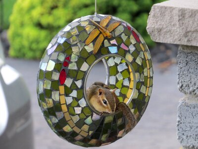 Animal bird feeder