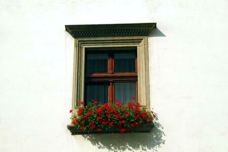 Flowers window sill architecture