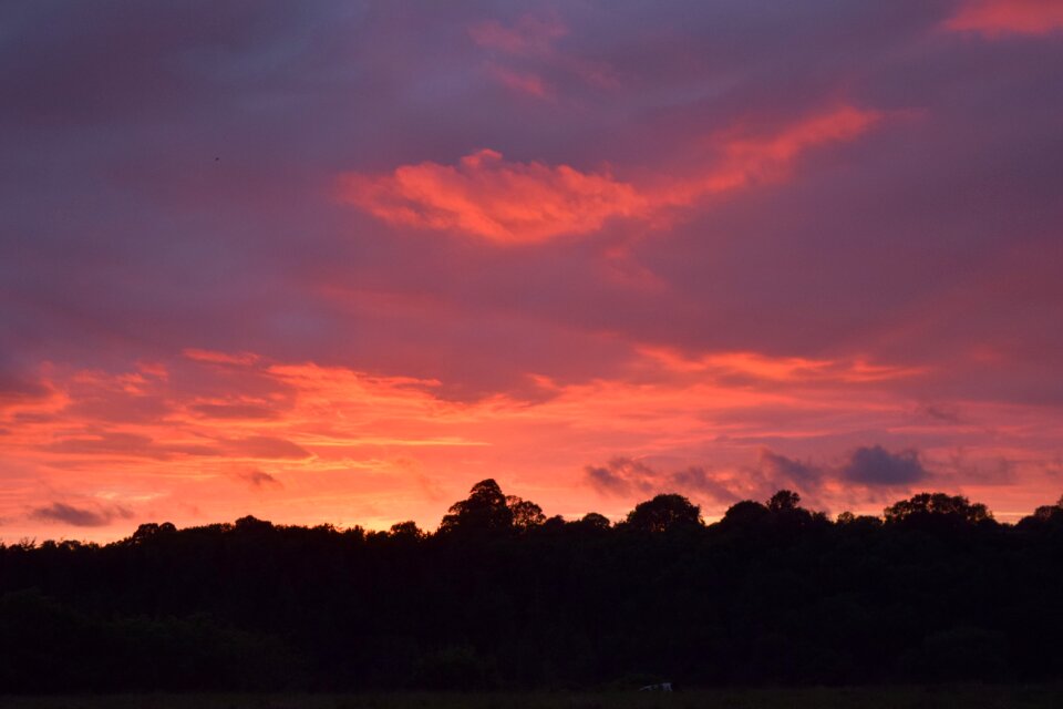 Black silhouette sky