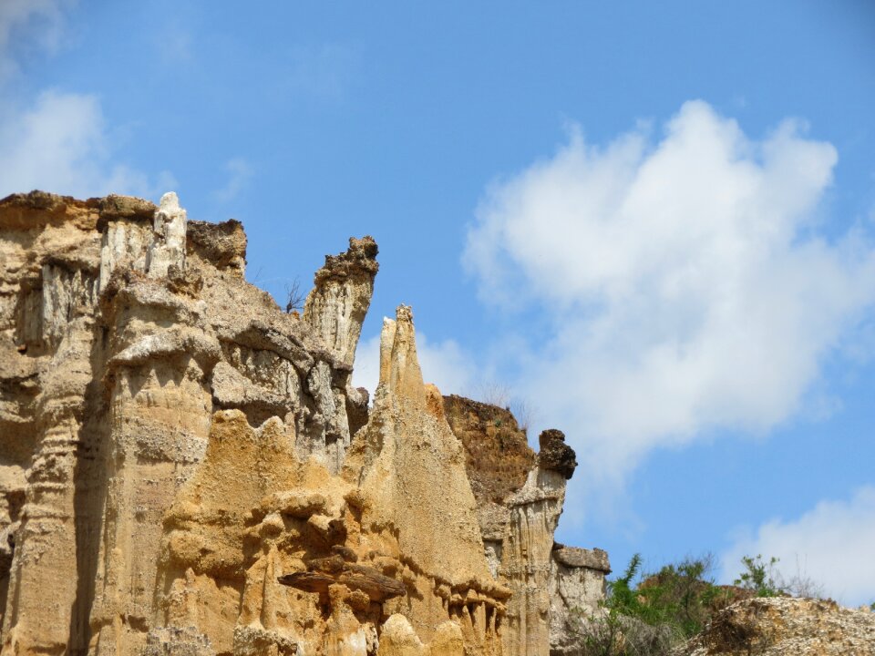 Landscape dry heat yns forest soil