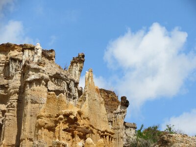Landscape dry heat yns forest soil