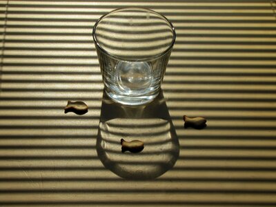 Cookies water strips