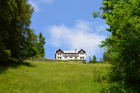 Forest glade allgäu landscape