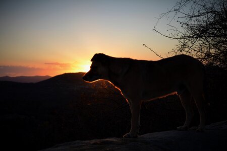 Dry sunset brazil