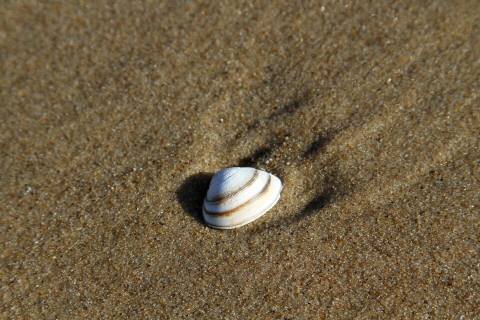 Summer decorative sand beach