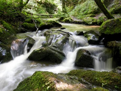 Bach mood stones photo