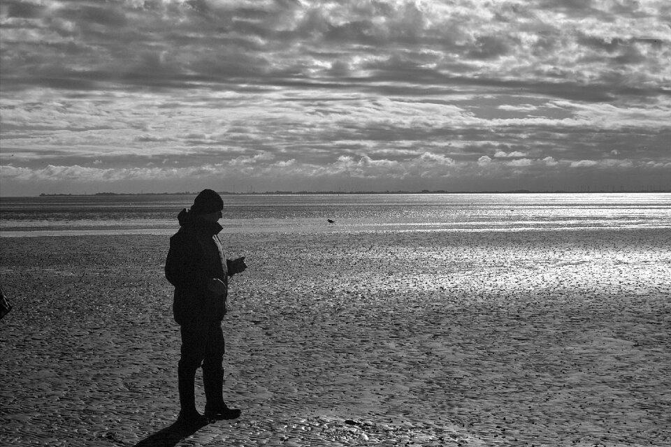 North sea watts black and white