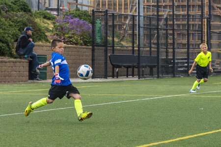 Goalie field grass