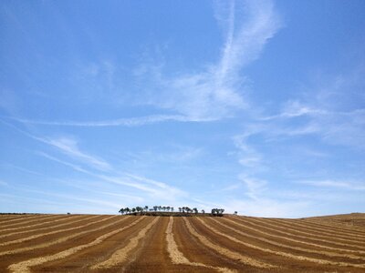 Europe wheat fields sky