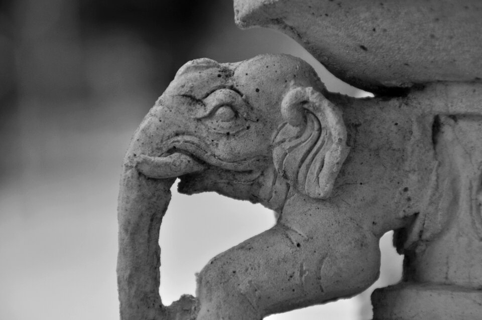 Elephant buddhism temple