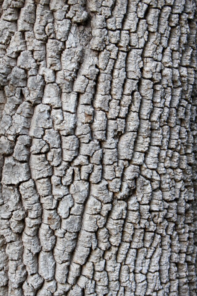 Background is desktop texture