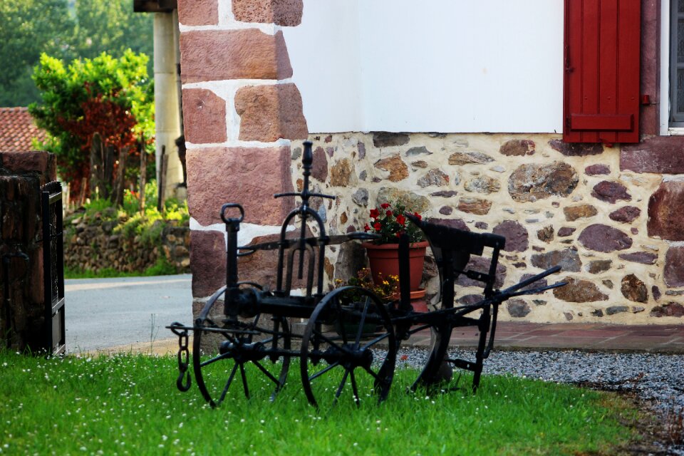 Oxen garden basque country