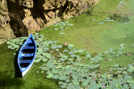 Water pond water lake photo