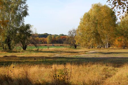 Colorful autumn light bright