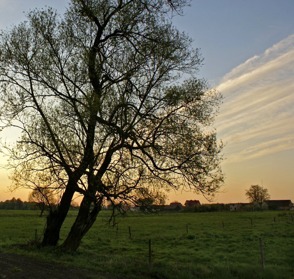 View poland meadow