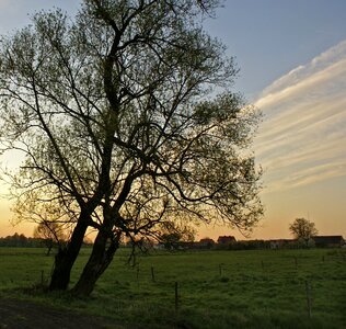 View poland meadow photo