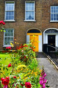 House exterior garden