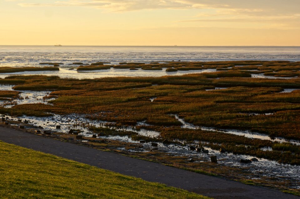 Sea landscape horizon