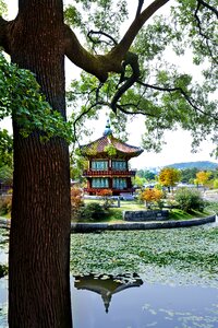 Asia architecture landscape