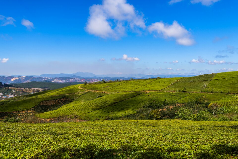 Nature natural landscape