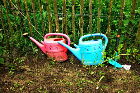 Gardening water container photo