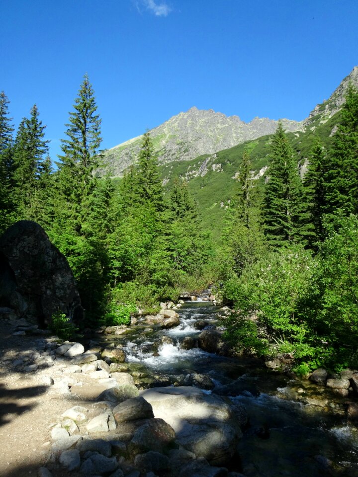 The high tatras landscape nature