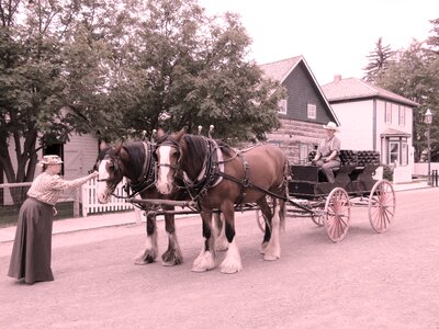 Old carriage vintage photo