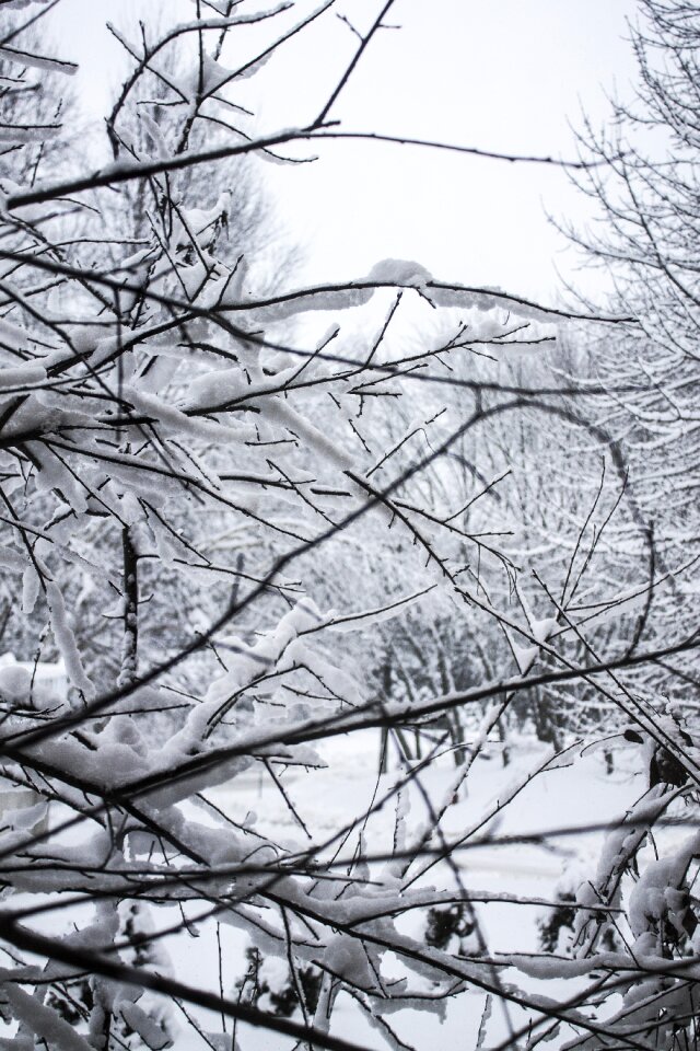 Ice snowfall frozen