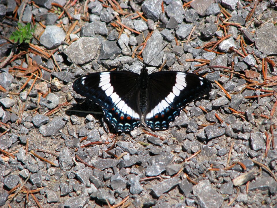 Ontario canada