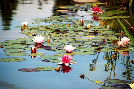 Artificial water area romantic