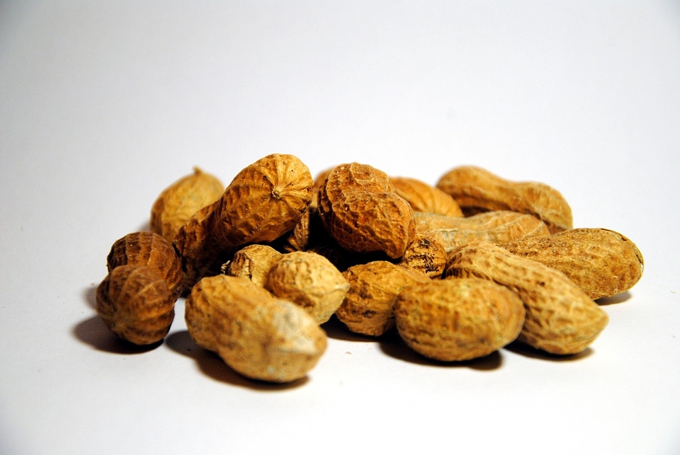 Peanut healthy snack