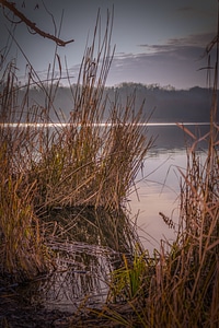 Water dusk nature