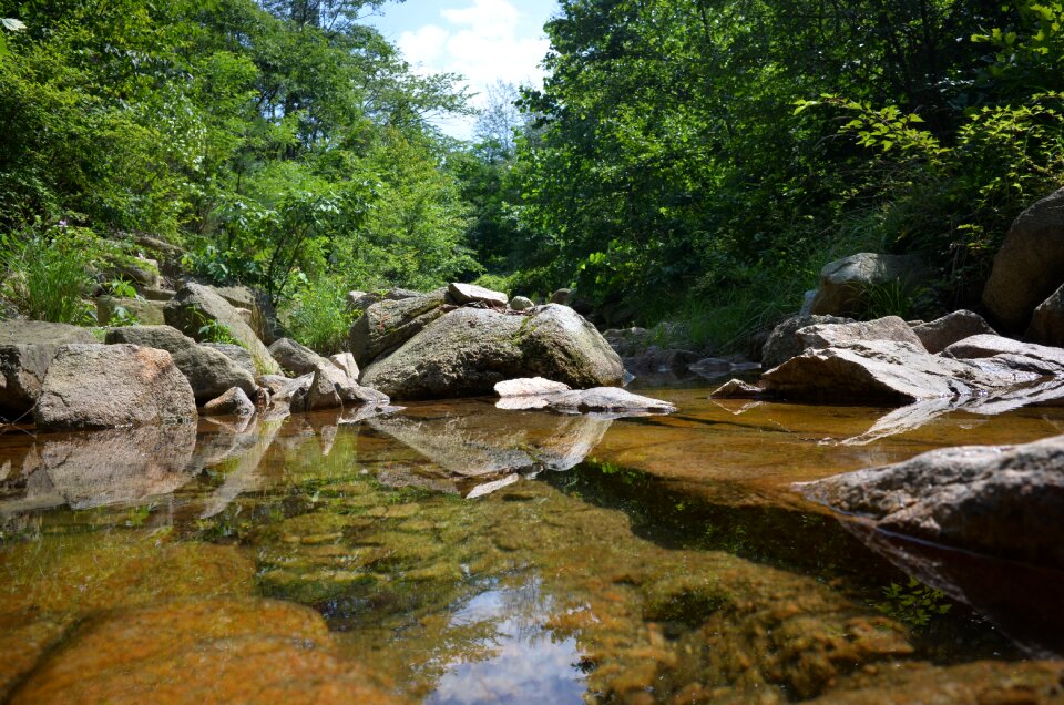 Valley summer valley summer vacation