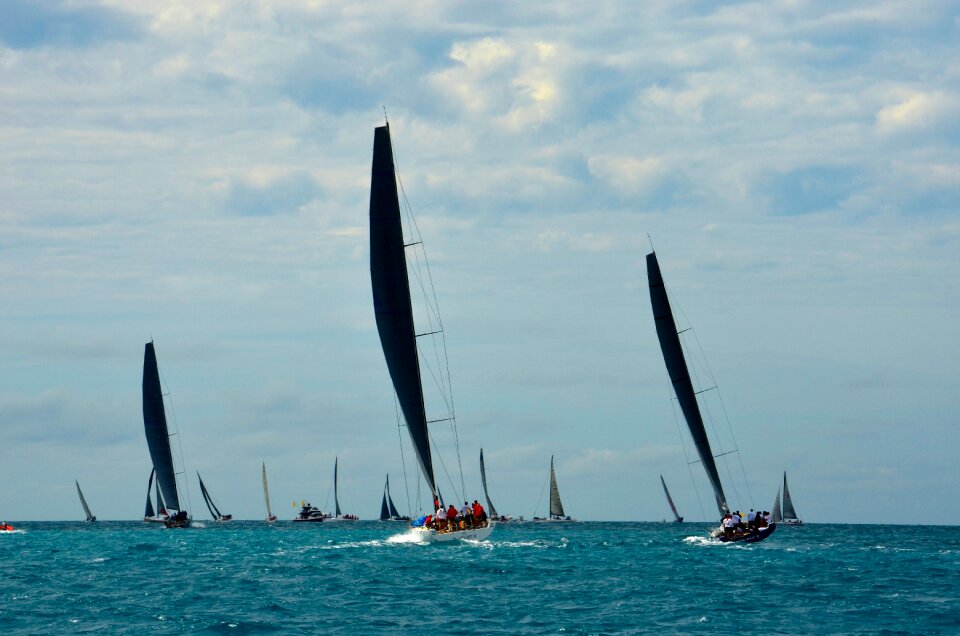 Competition sail boat ocean