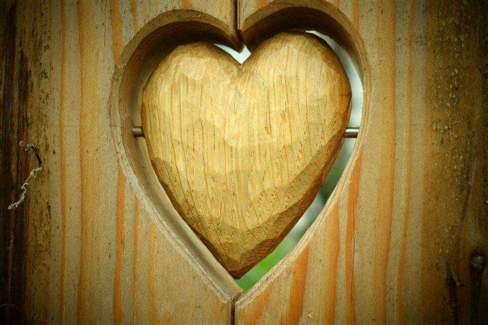 Wooden structure heart in the wood love